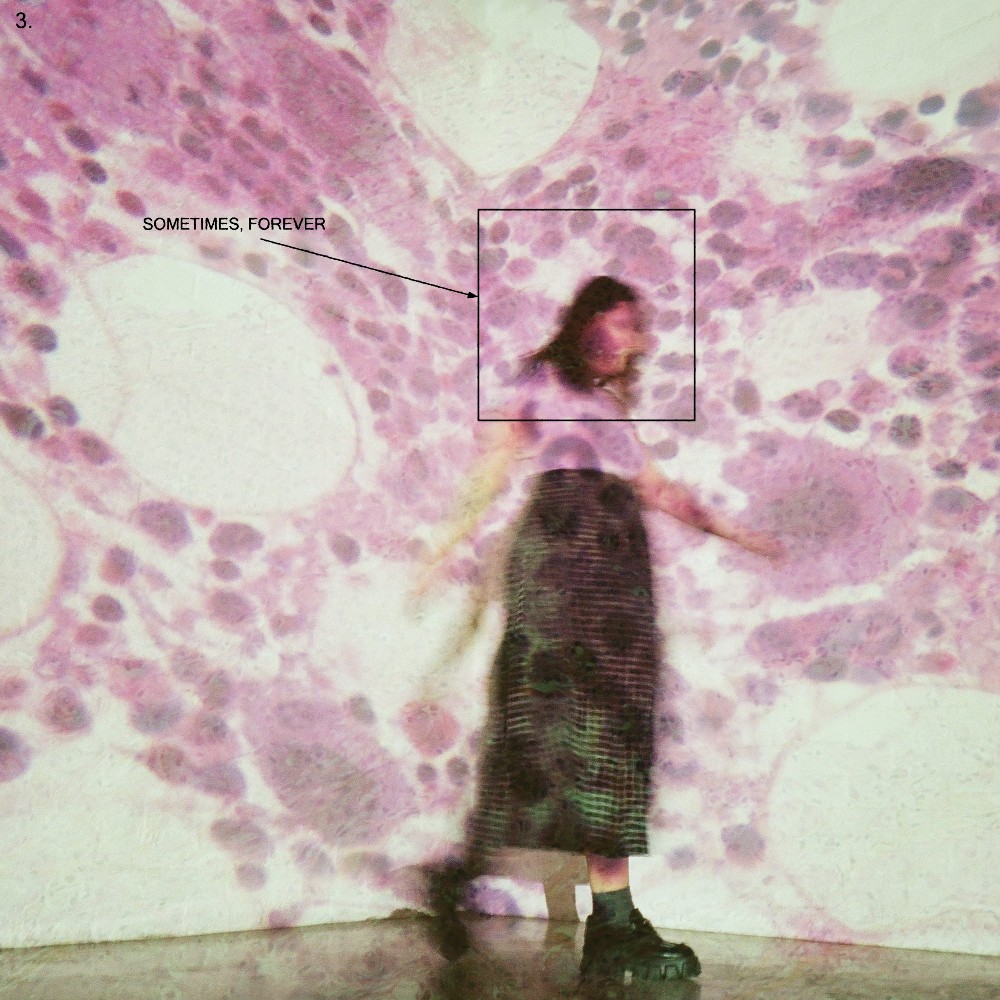 Soccer Mommy - Critique de "Parfois, pour toujours": écriture nuancée