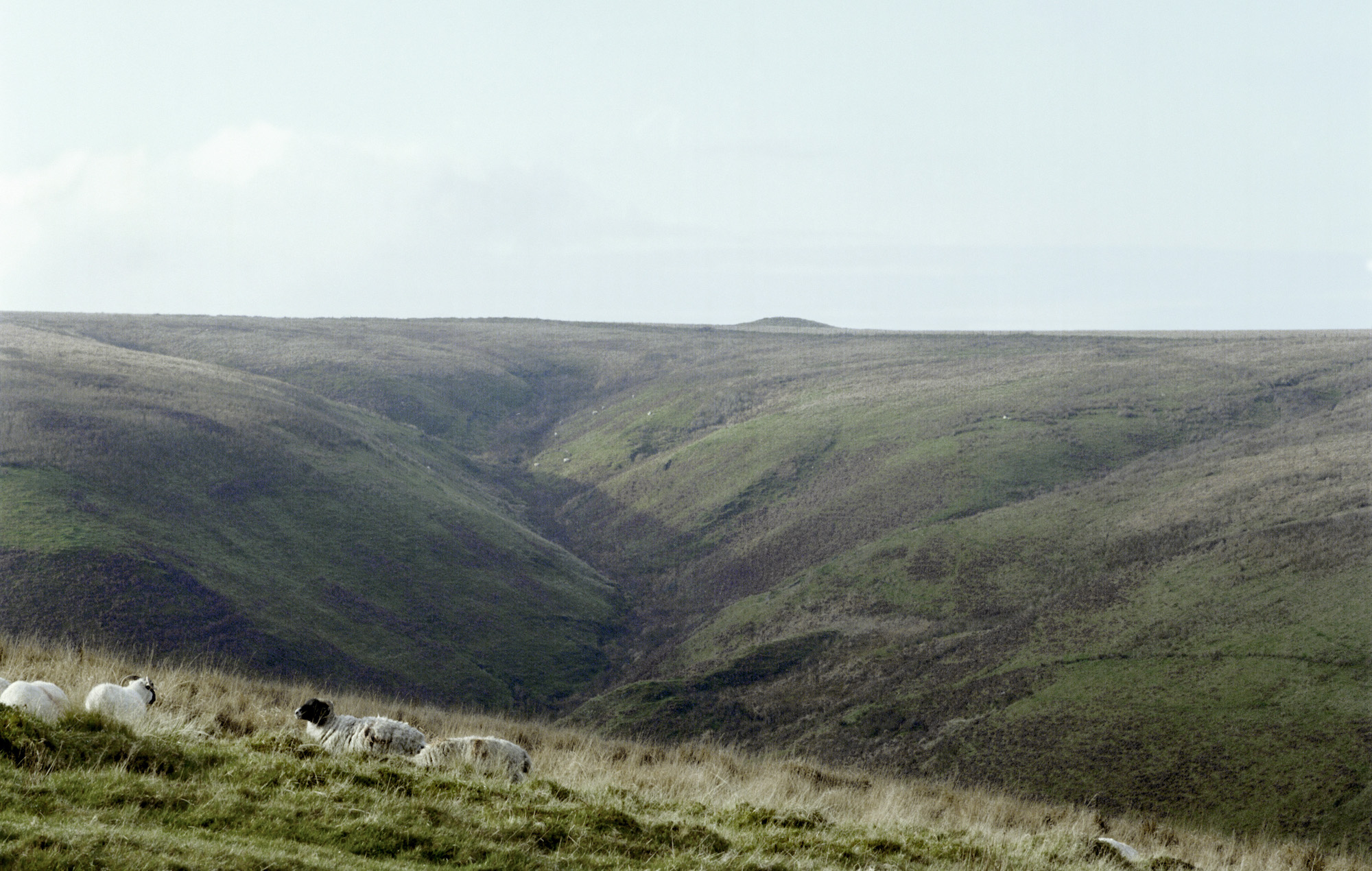 Organisateur de rave illégale banni du parc national d'Exmoor pendant un an