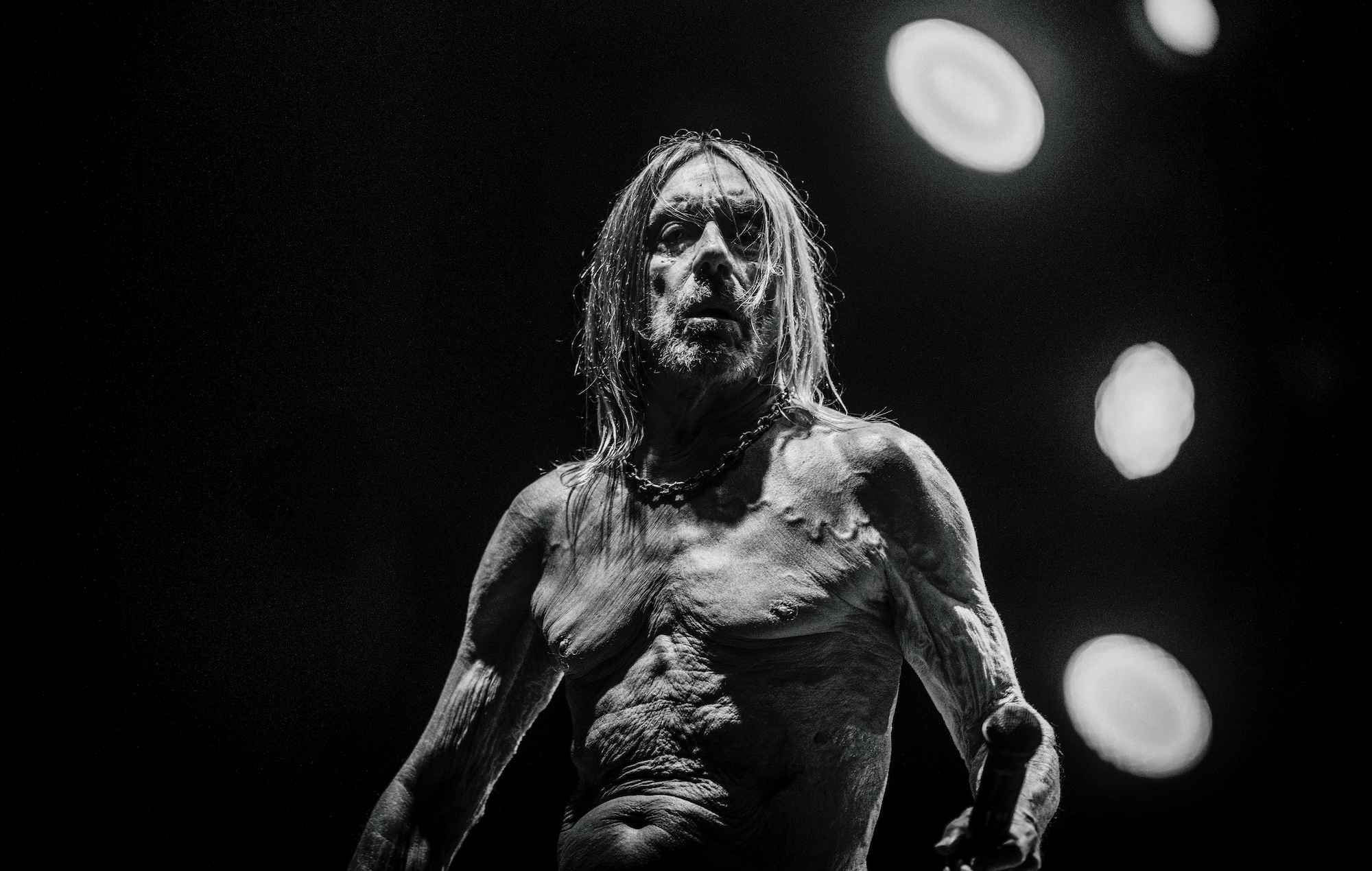 Iggy Pop annonce un nouvel album "Every Loser"