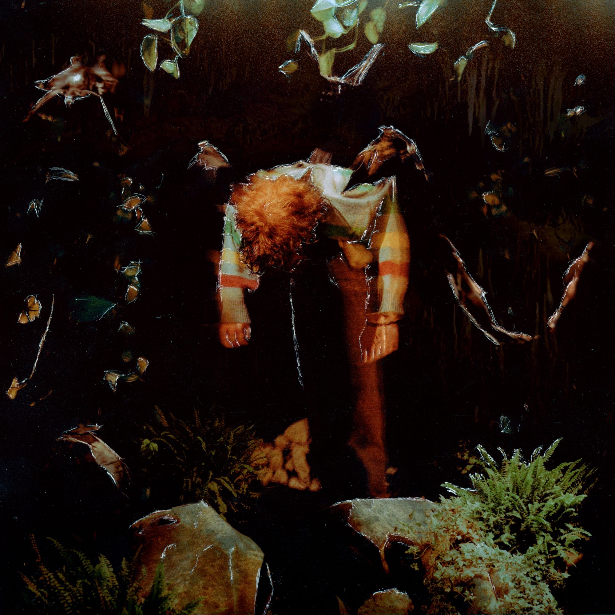 Critique de «Worm Food»: une pop de chambre audacieuse offre une honnêteté sincère