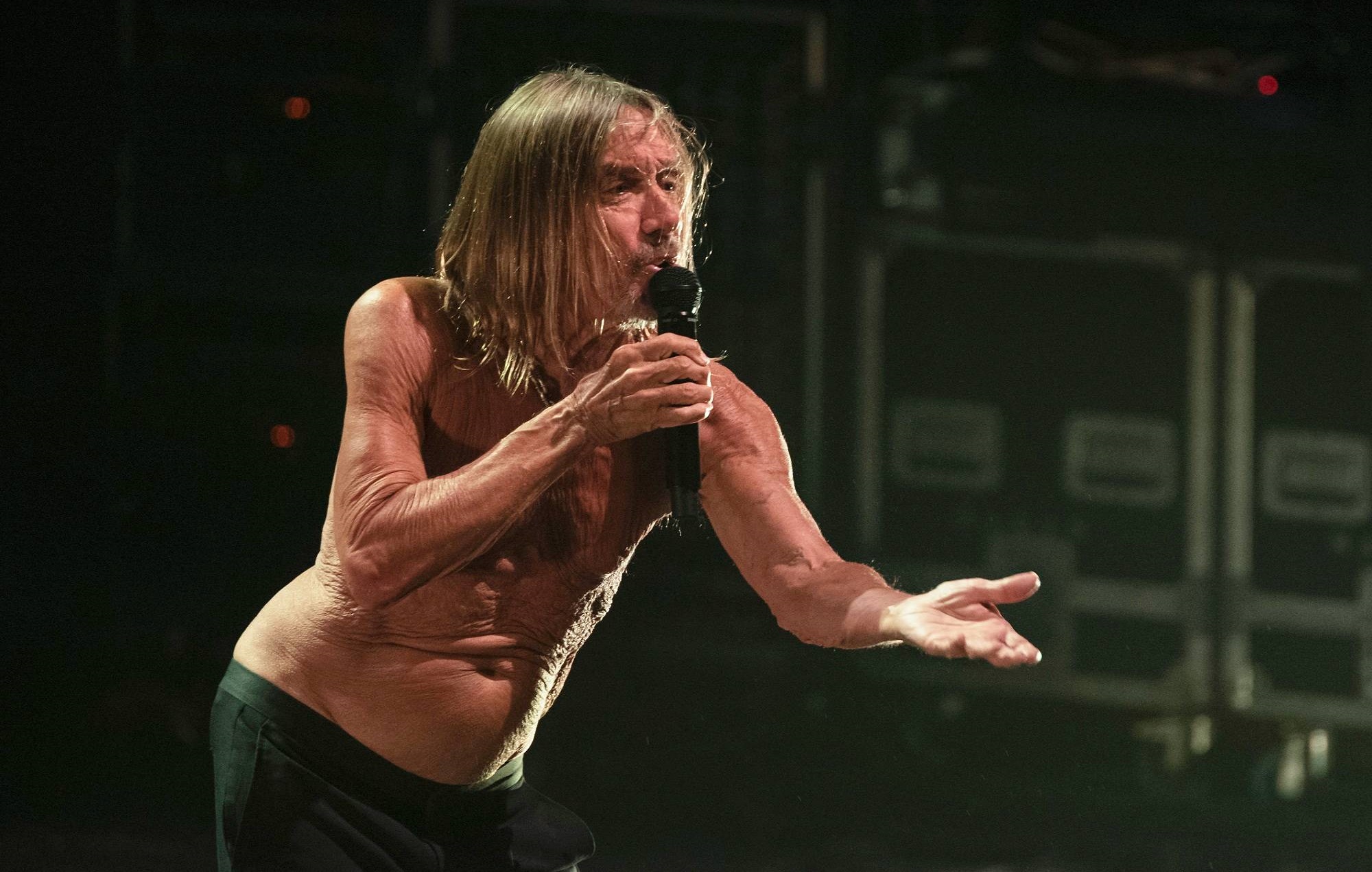 Iggy Pop n'a jamais "vraiment compris" les Foo Fighters jusqu'à ce qu'il les voie en direct