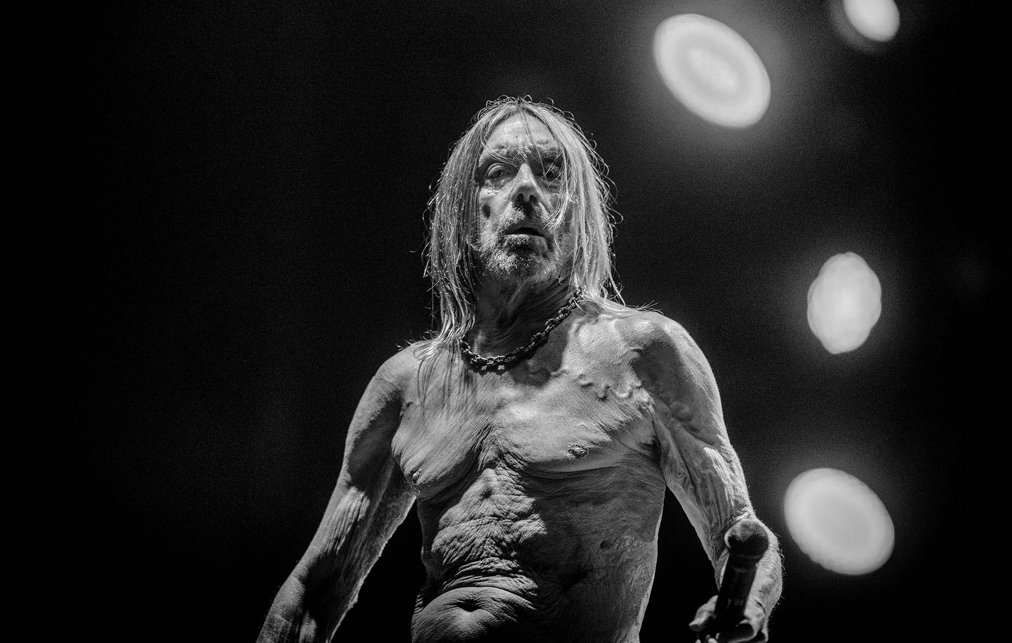 Iggy Pop - Critique de "Chaque perdant"
