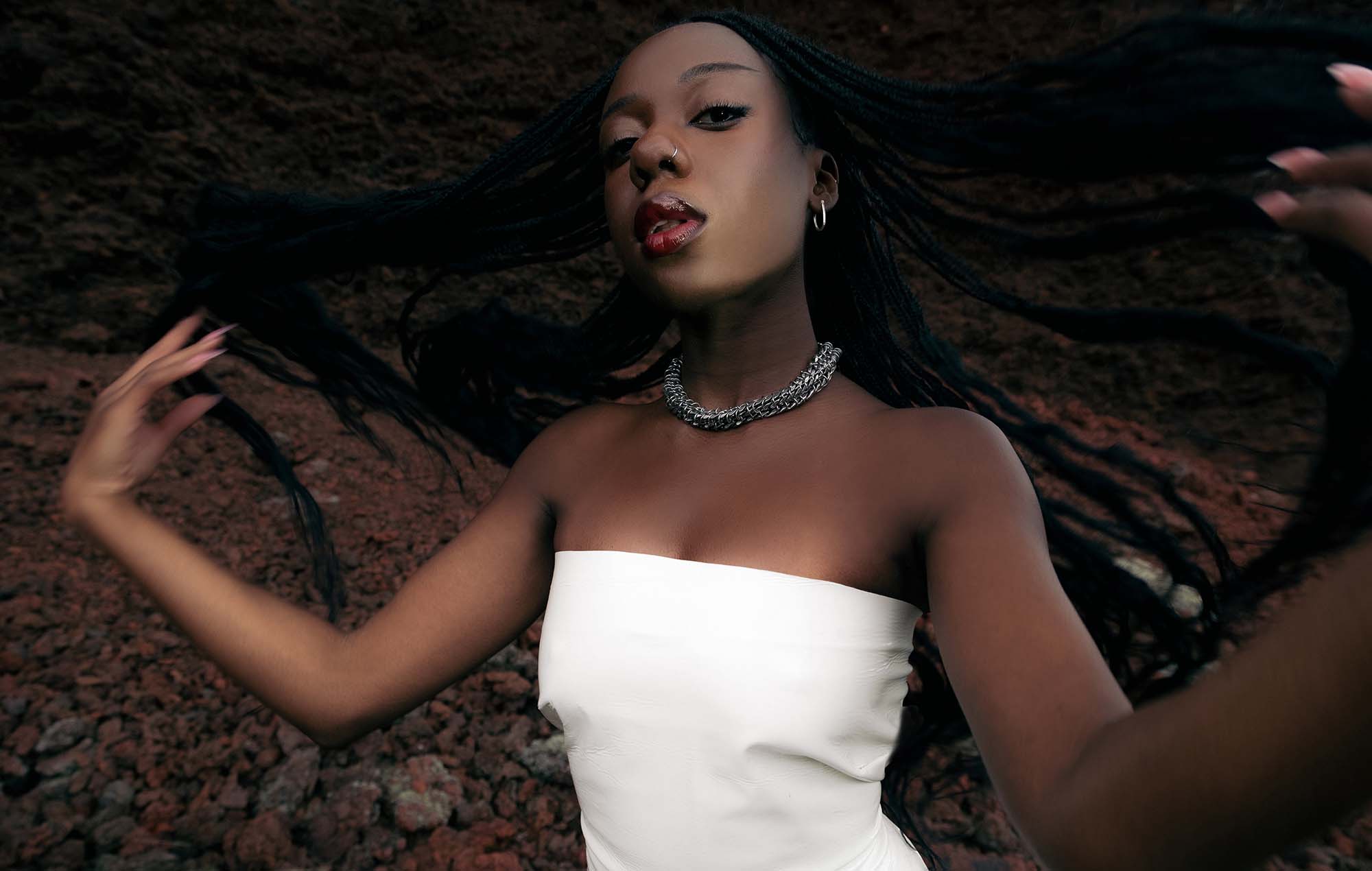 Un visionnaire torontois donne une touche surréaliste à la pop