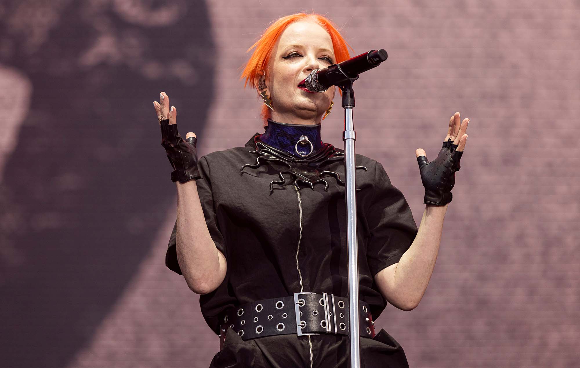 Regardez la chanteuse de Garbage Shirley Manson interrompre une bagarre avec le retrait de NSFW