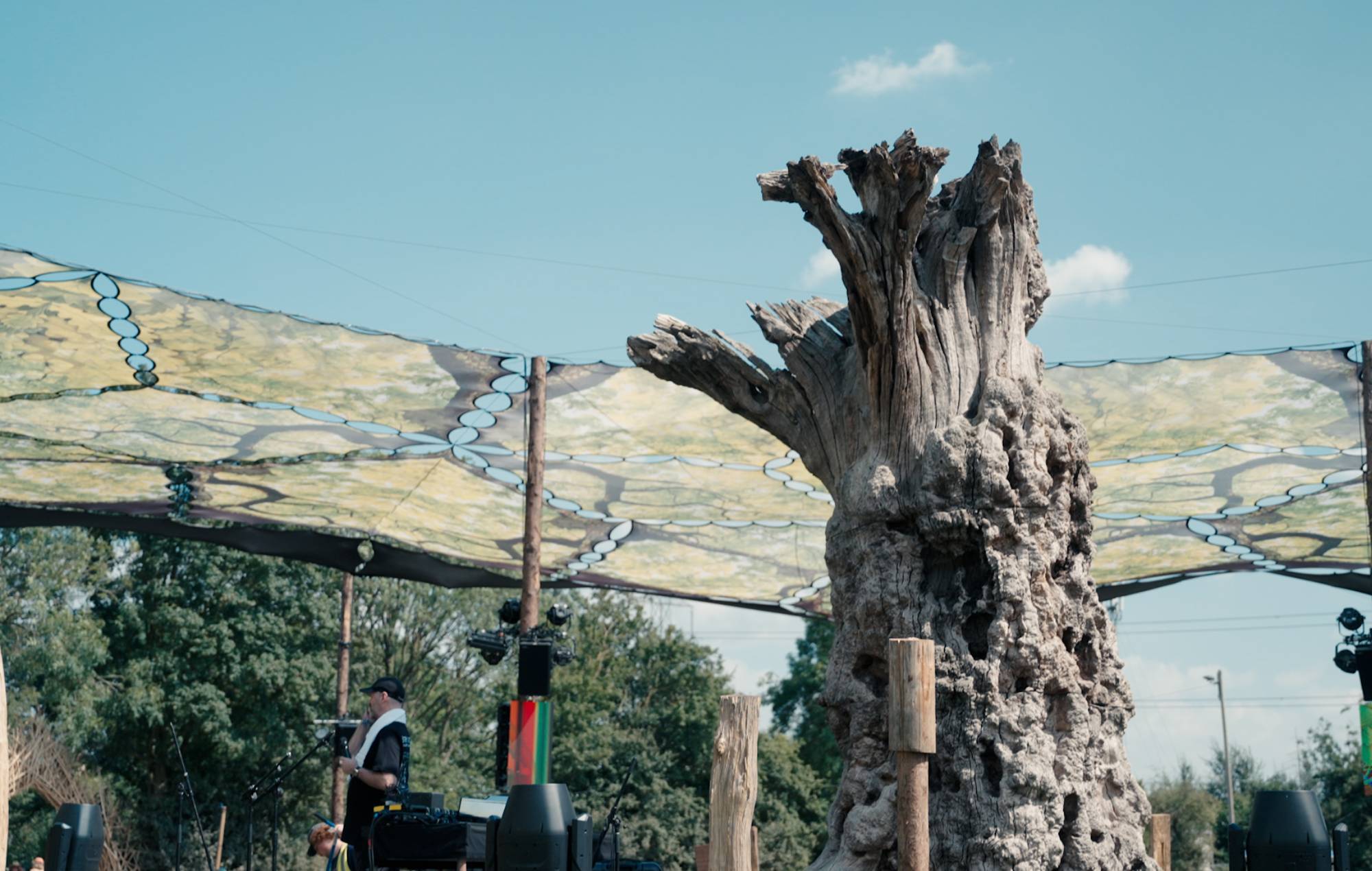 Découvrez la nouvelle scène extérieure des arbres à Woodsies