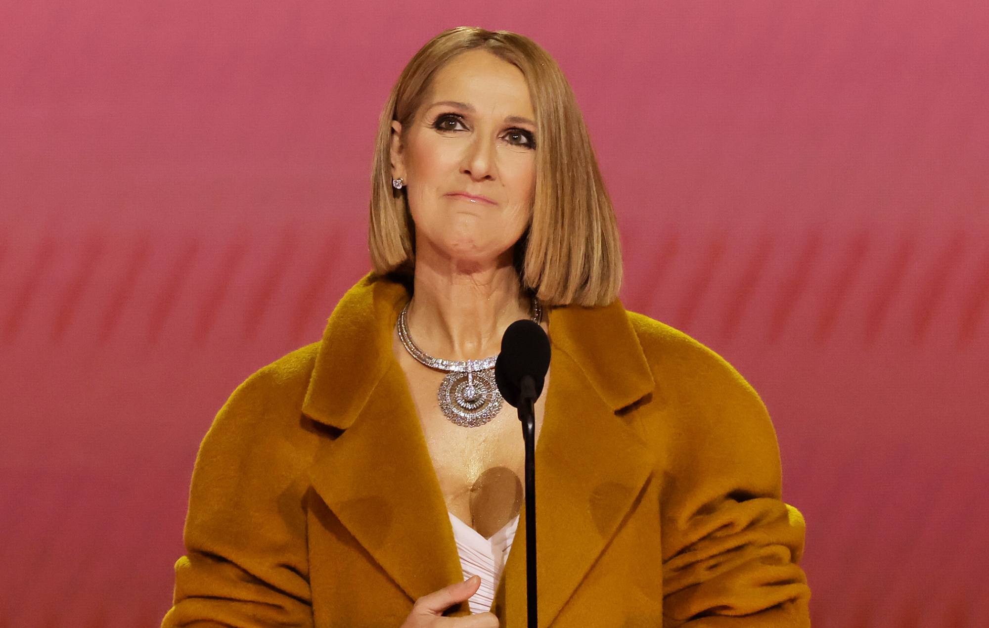 Céline Dion dit que le syndrome de la personne raide lui a causé des spasmes musculaires qui lui ont cassé les côtes