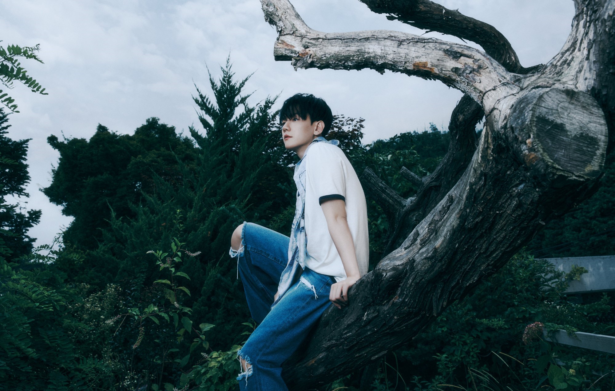 Baekhyun – Critique de « Hello, World » : une réintroduction sans entraves