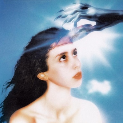 Disque imaginal de la baie de Magdalena