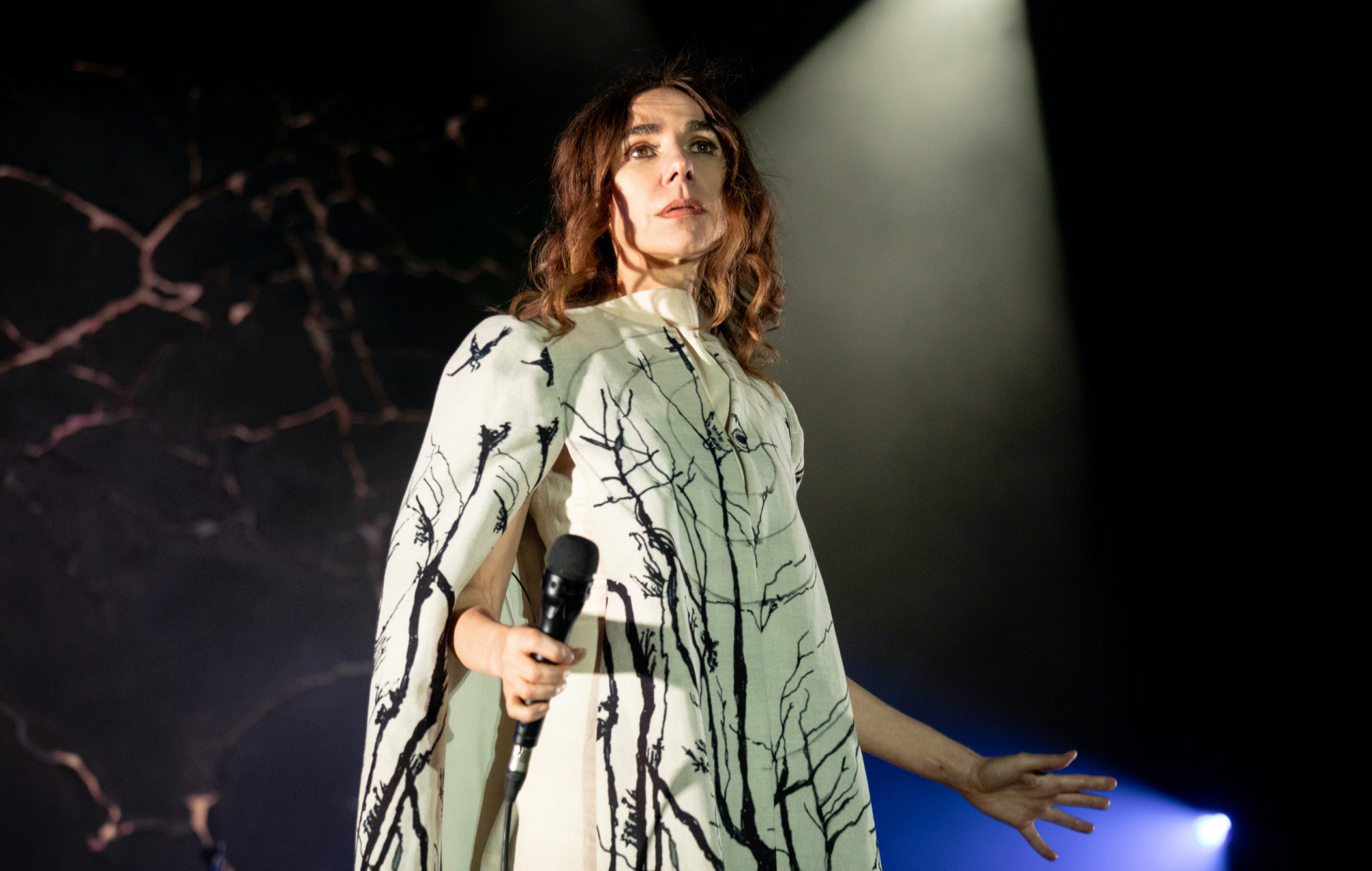 PJ Harvey annonce ses spectacles en Australie et au Japon pour 2025