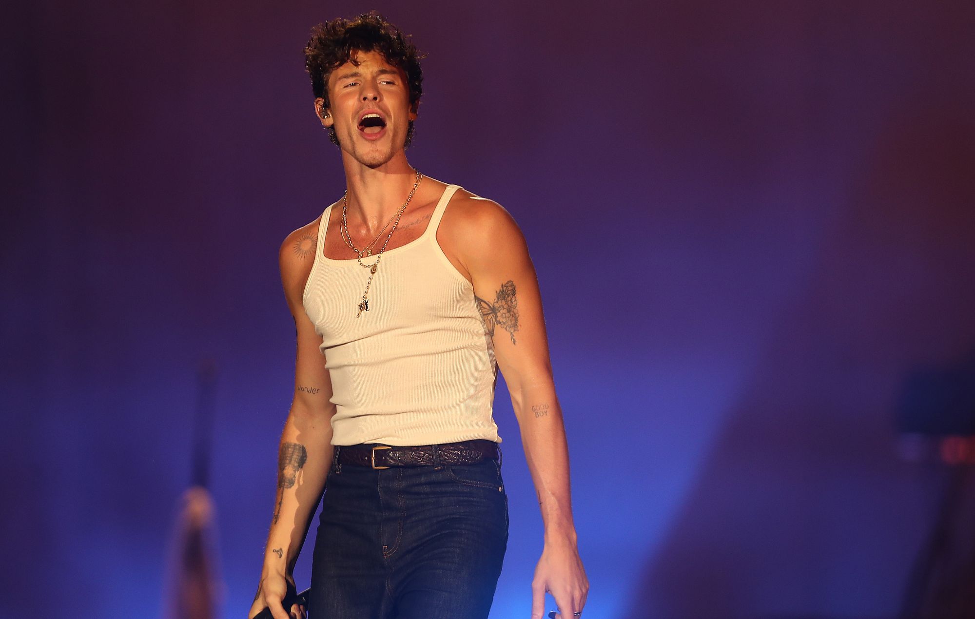Shawn Mendes dit qu'il "est juste en train de comprendre sa sexualité" et "essaye d'être vraiment courageux"
