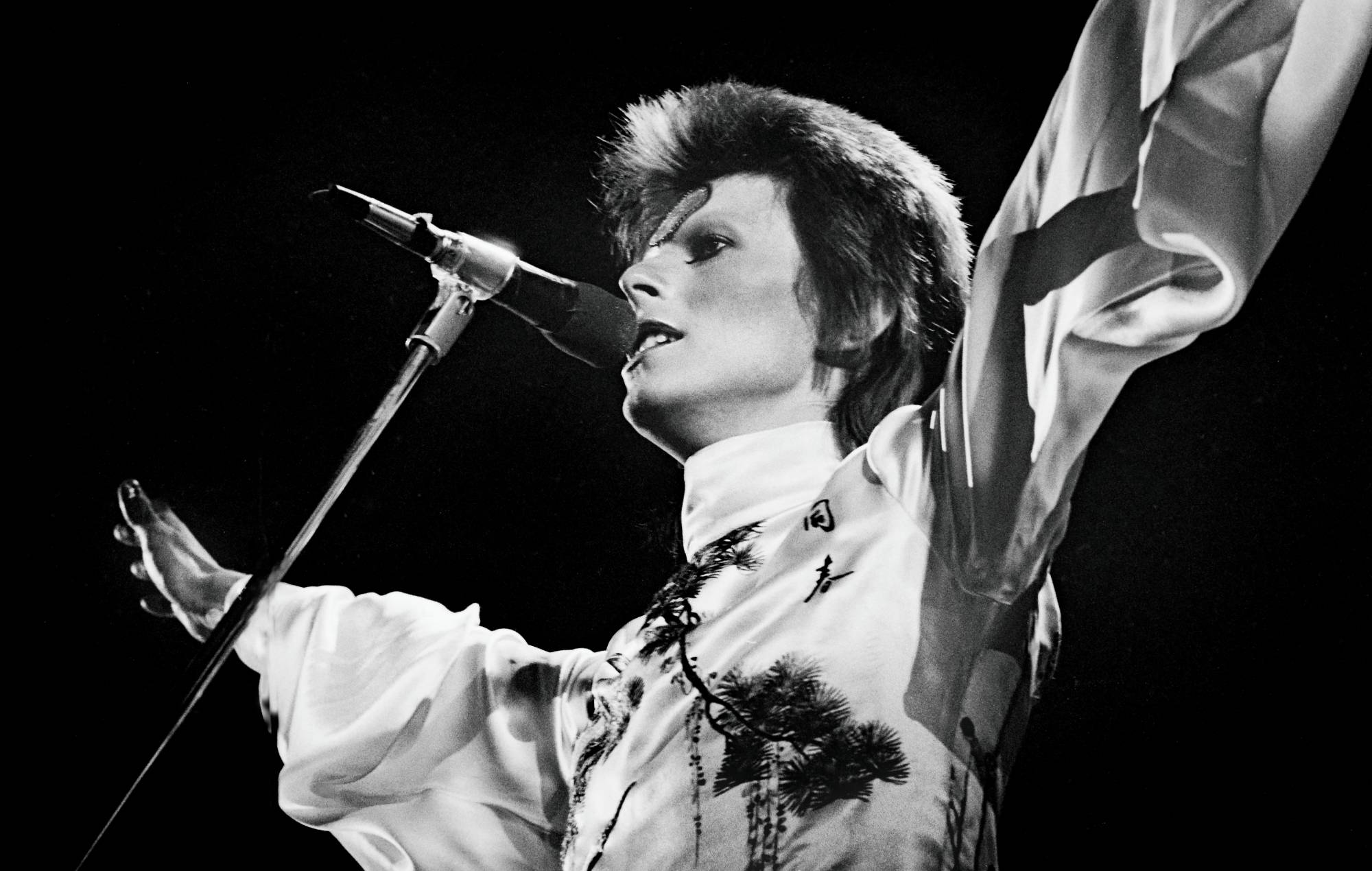 David Bowie se produit sur scène à l'Earls Court Arena le 12 mai 1973 lors de la tournée Ziggy Stardust. CRÉDIT : Gijsbert Hanekroot/Redferns