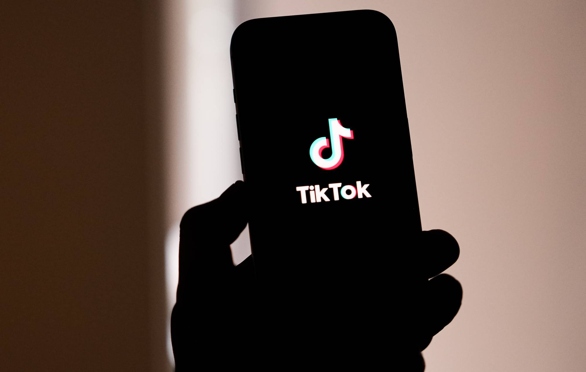 Le monde du divertissement réagit à l'interdiction américaine de TikTok : "C'est tellement dystopique"