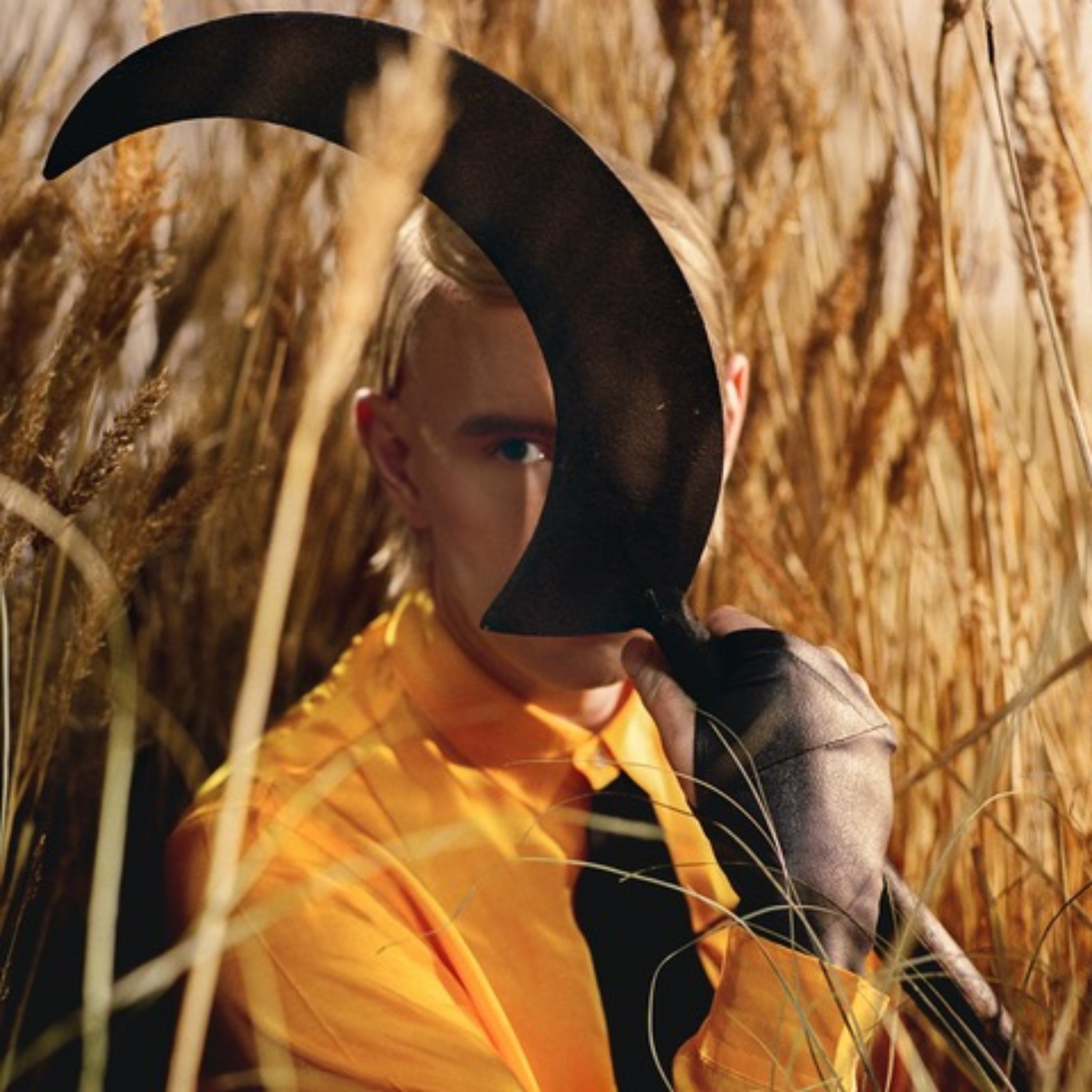 PATRICK WOLF PRESS Picture