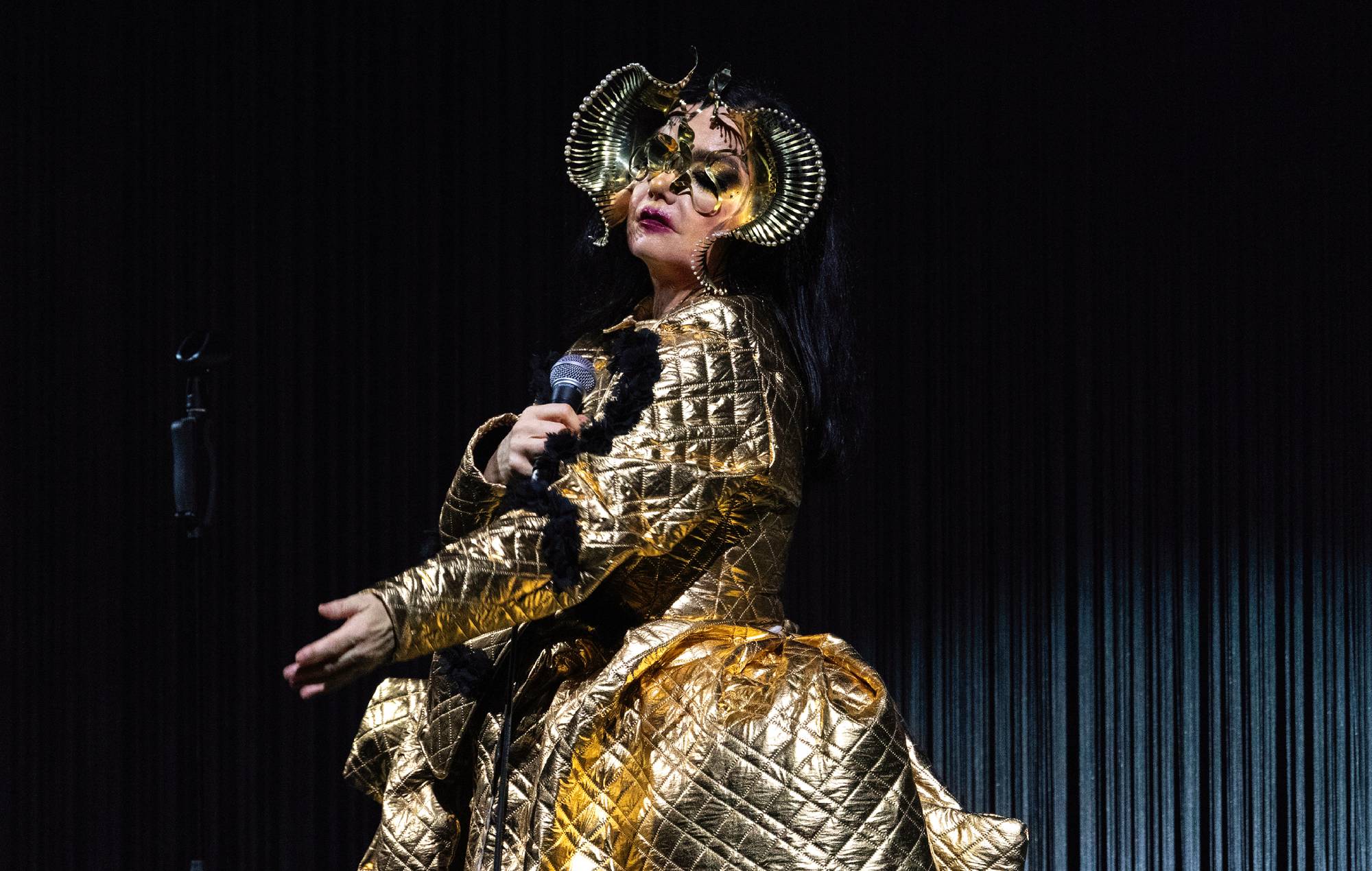 Björk ne rejoint aucune musique pour le génocide et supprime le catalogue du streaming en Israël