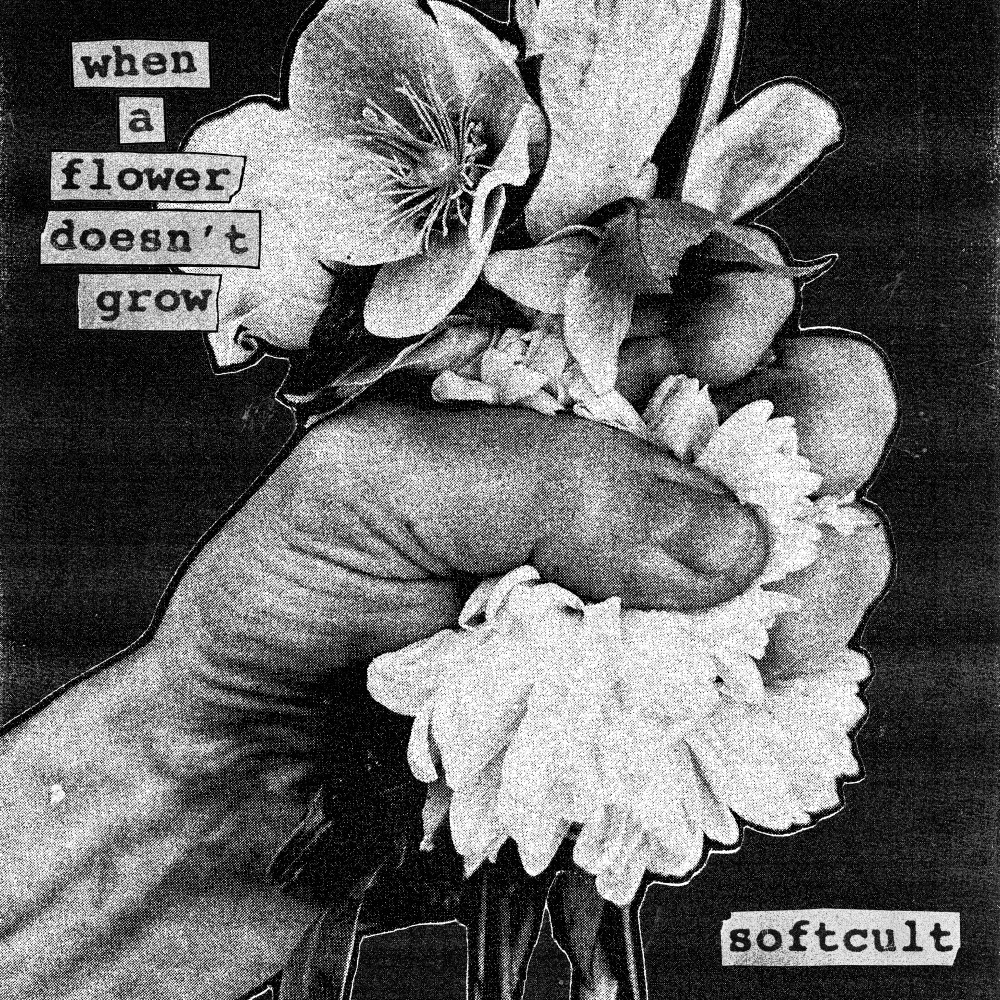 softfult quand une fleur ne pousse pas critique