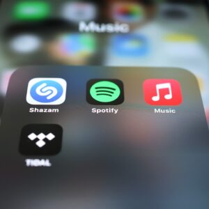 L'auteur-compositeur-interprète Michael Smith plaide coupable d'avoir escroqué des millions de diffuseurs de musique en utilisant l'IA dans le premier cas de ce type