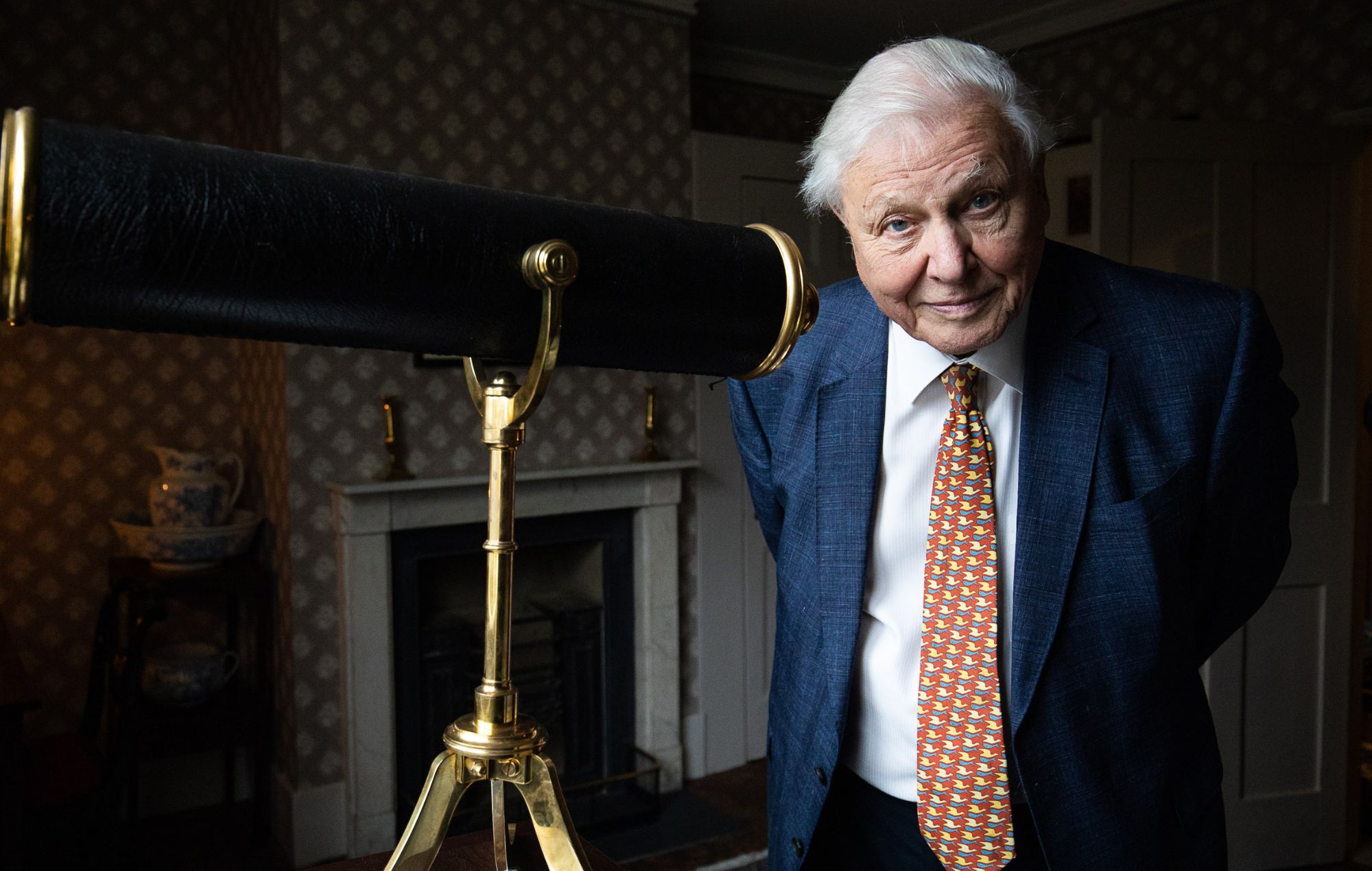 Sigur Rós et Bastille pour la fête du 100e anniversaire de David Attenborough au Royal Albert Hall