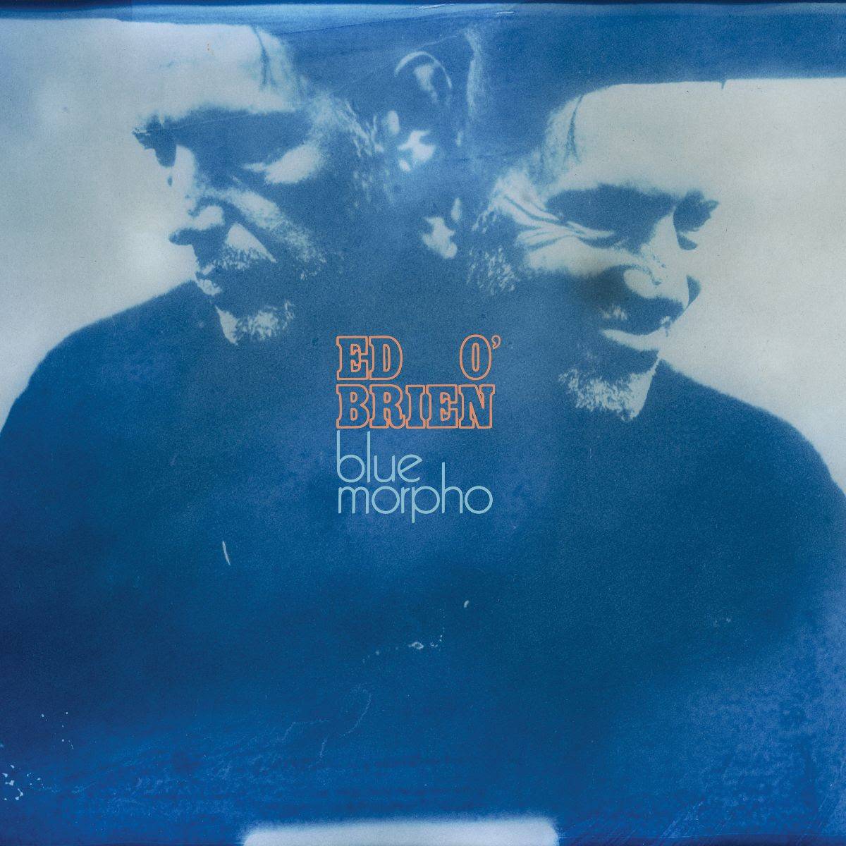 Ed O'Brien, « Blue Morpho ». Crédit : Presse