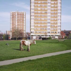 Westside Cowboy – Critique de « It Goes On » : les nouveaux guitaristes de Manchester mettent un bras autour de votre épaule
